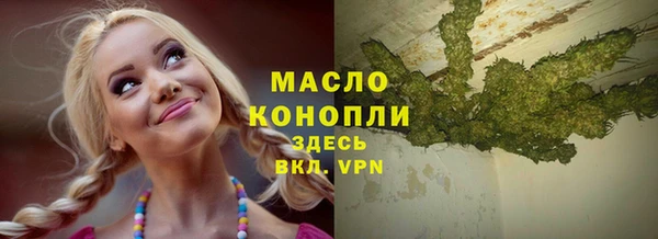соль ск Богданович