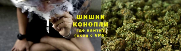 эйфоретик Богородск