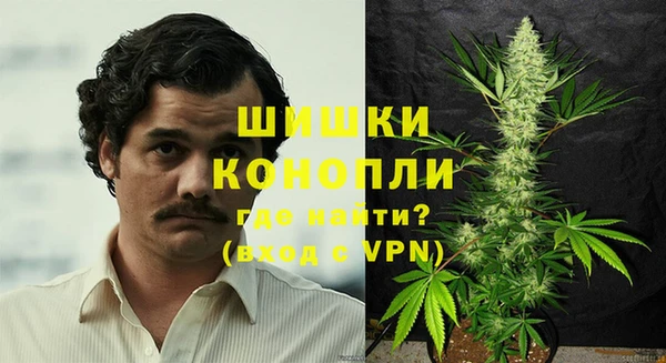 соль ск Богданович