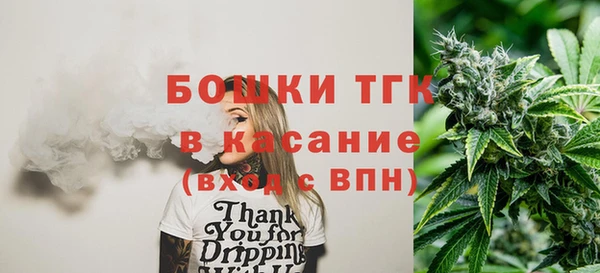 соль ск Богданович